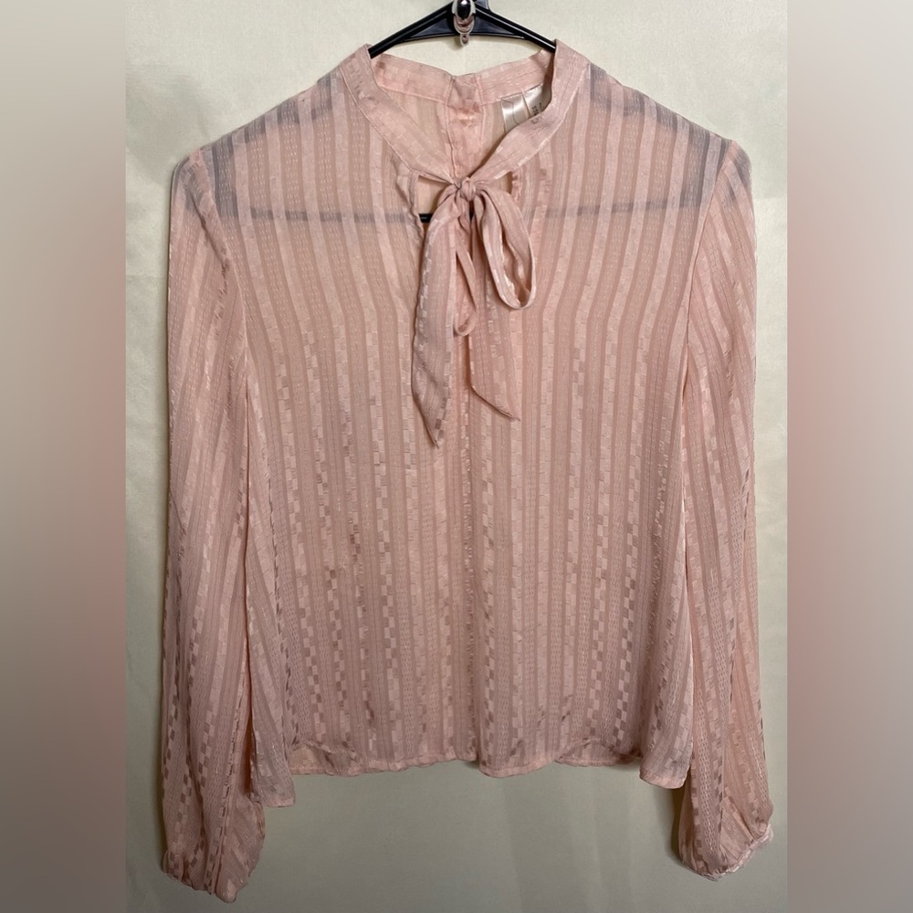 Forever 21 Exclusive Pink Blouse